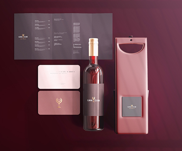 proyecto-inicio-cavaclub