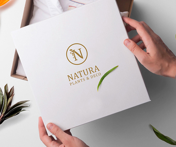 proyecto-inicio-naturaydeco